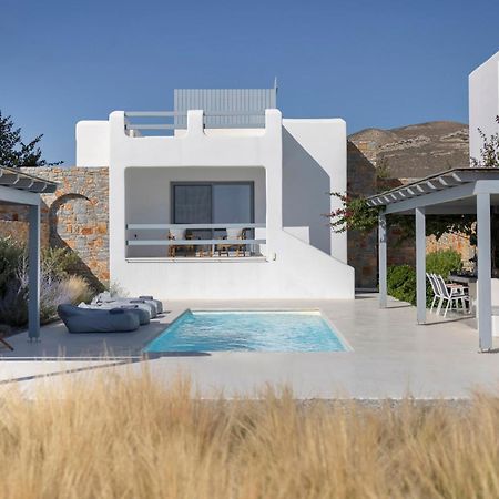 Villa Dione, Private Pool & Seaview By Naxos Dunes Кастраки Экстерьер фото